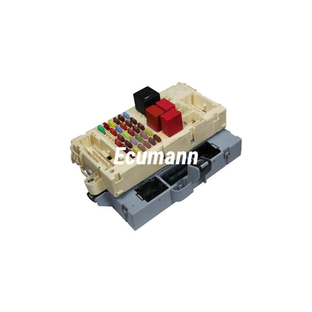 FIAT Ducato 120 Multijet (Ducato, 250) 2010 - 2011 BCM Beyni