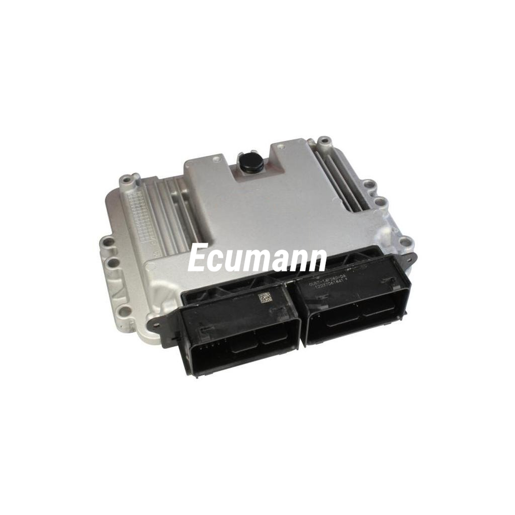 FORD Fiesta 1.0 EcoBoost (Fiesta) 2013 - 2014 Motor Beyni