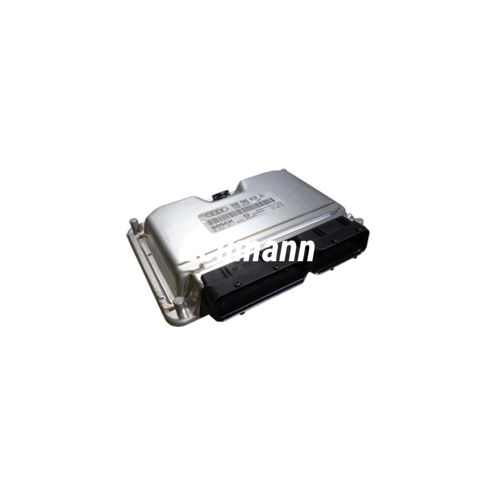 VW (VOLKSWAGEN) Polo 1.9 TDI [9N3] 74kW 04/2005 - 12/2009 Motor Beyni