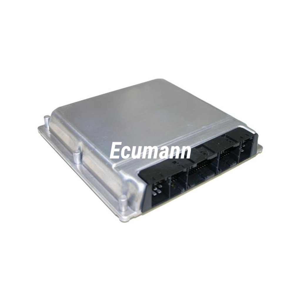 BMW 530d (5er Reihe, E39) 2002 - 2003 Motor Beyni