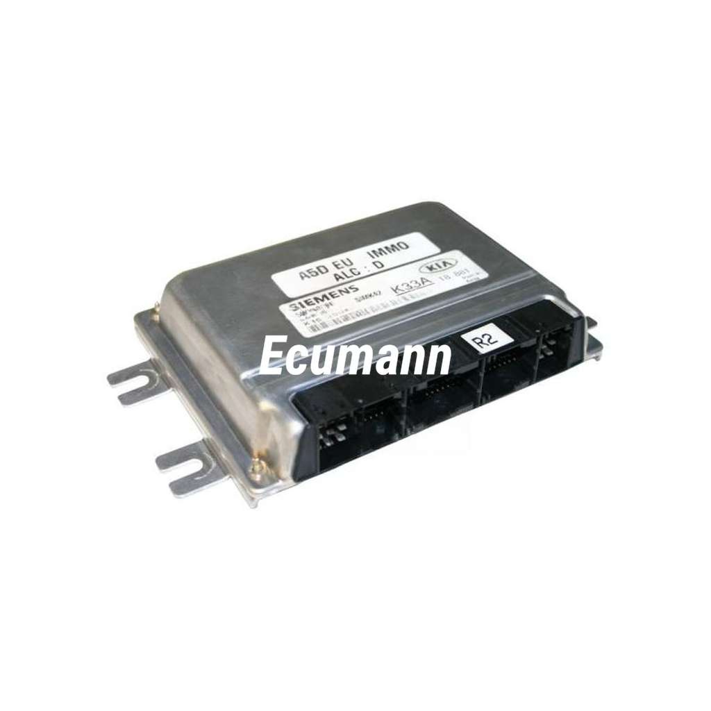 HYUNDAI Santa Fe 2.7i (Santa Fe, SM) 2004 - 2005 Motor Beyni