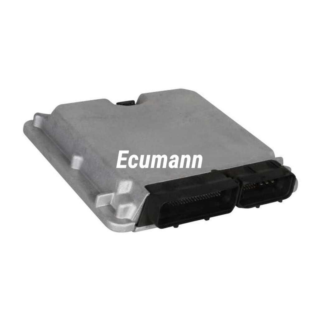 VOLKSWAGEN-VW Golf IV 1.9 TDI Variant 4Motion (Golf IV, 1J) 1999 - 2000 Motor Beyni