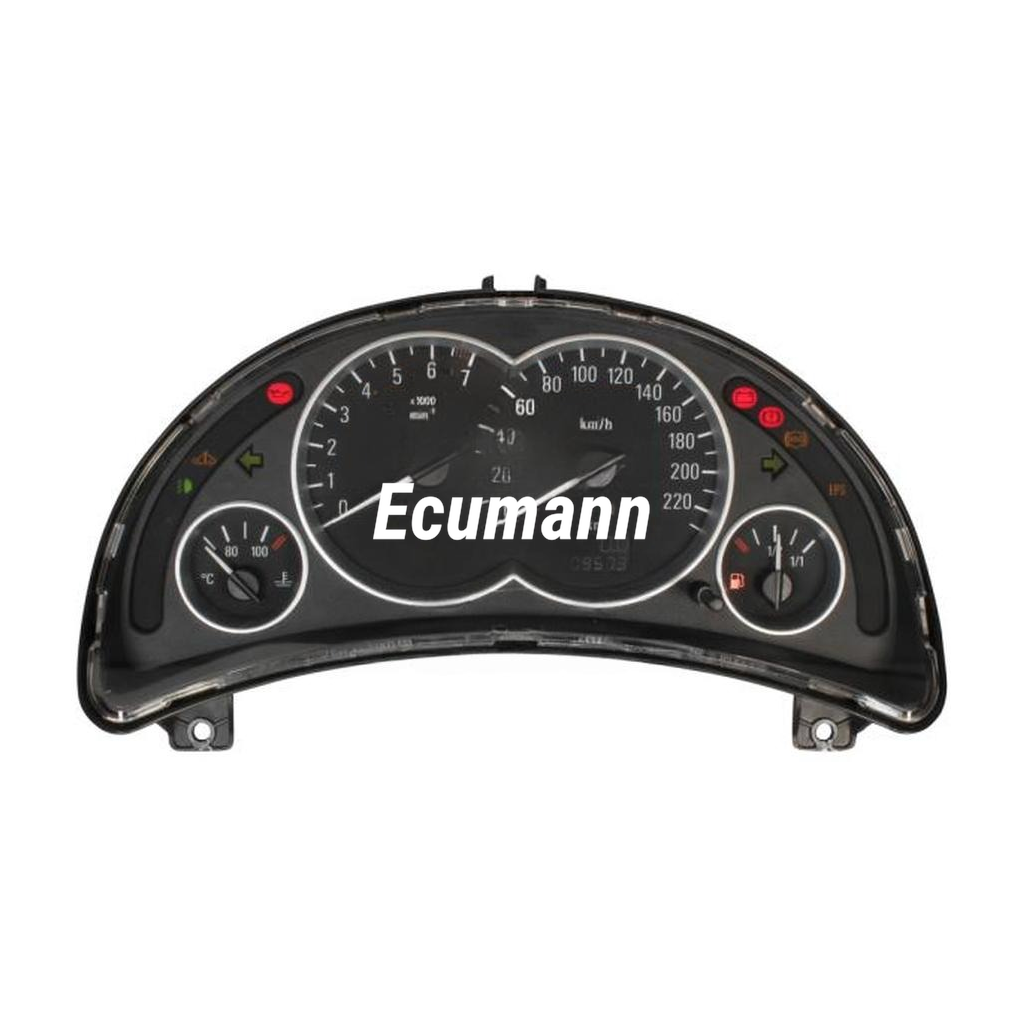OPEL Corsa 1.0 (Corsa, C) 2001 - 2002 Engine code Z10XE Gösterge Paneli