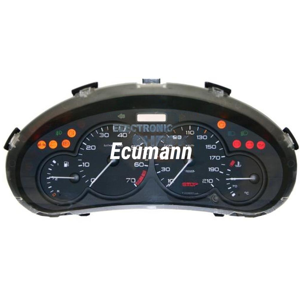 PEUGEOT 206 CC 1.6i (206, T1) 2005 - 2009 Engine code NFU Gösterge Paneli