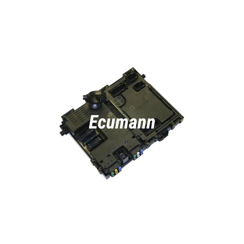 PEUGEOT 406 2.0i (406, D9) 2001 Engine code RFN BSI Beyni